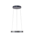 Paul Neuhaus Pure E-Loop Lampa Wisząca Szary 2550-15