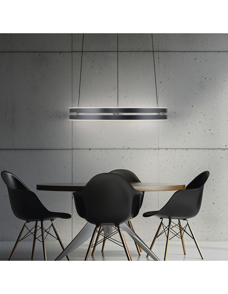 Paul Neuhaus Pure E-Loop Lampa Wisząca Szary 2550-15