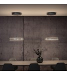 Paul Neuhaus Pure E-Loop Lampa Wisząca Szary 2550-15