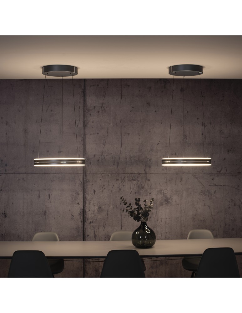 Paul Neuhaus Pure E-Loop Lampa Wisząca Szary 2550-15
