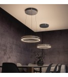 Paul Neuhaus Pure E-Loop Lampa Wisząca Szary 2550-15