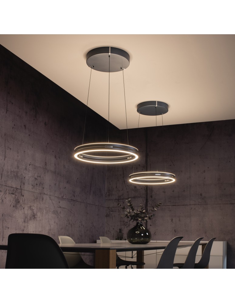 Paul Neuhaus Pure E-Loop Lampa Wisząca Szary 2550-15