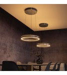 Paul Neuhaus Pure E-Loop Lampa Wisząca Szary 2550-15