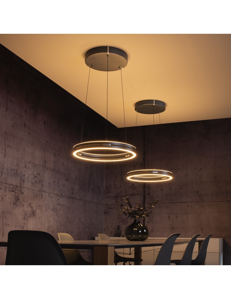 Paul Neuhaus Pure E-Loop Lampa Wisząca Szary 2550-15