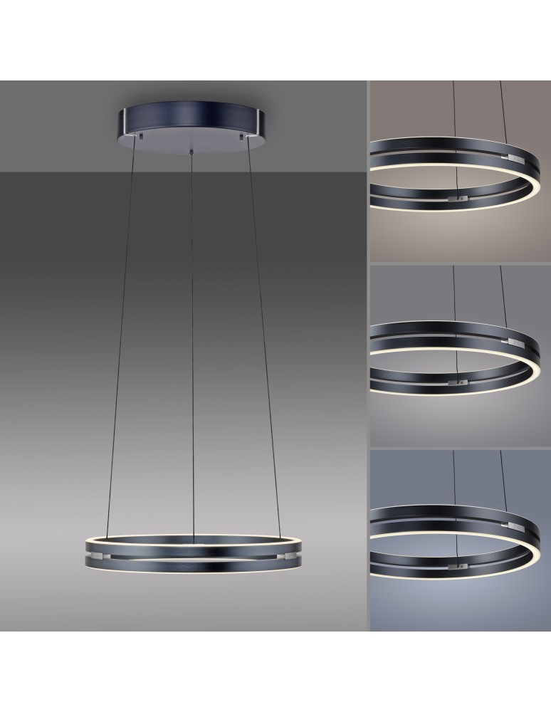 Paul Neuhaus Pure E-Loop Lampa Wisząca Szary 2550-15