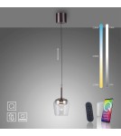 Paul Neuhaus Q-Kon Lampa Wisząca Srebrny 2741-21