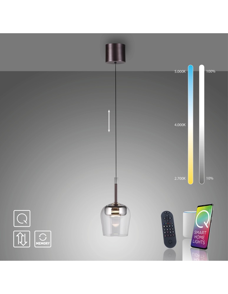 Paul Neuhaus Q-Kon Lampa Wisząca Srebrny 2741-21