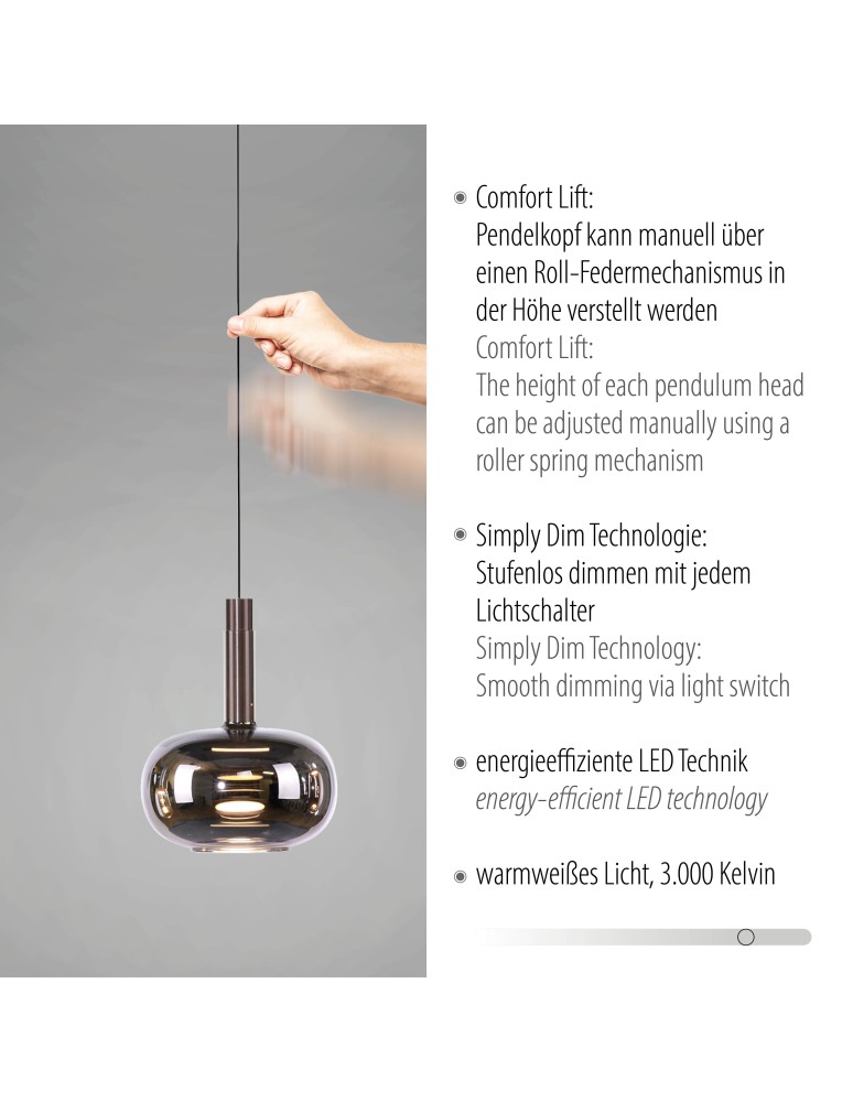 Paul Neuhaus Irides Lampa Wisząca Multikolor 2680-70