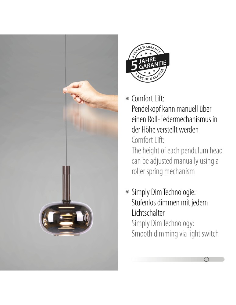 Paul Neuhaus Irides Lampa Wisząca Multikolor 2680-70