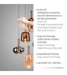 Paul Neuhaus Irides Lampa Wisząca Multikolor 2682-70