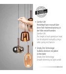 Paul Neuhaus Irides Lampa Wisząca Multikolor 2682-70