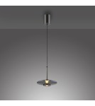 Paul Neuhaus Pure Vitrum Lampa Wisząca Szary 2053-15