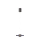 Paul Neuhaus Pure Vitrum Lampa Wisząca Szary 2053-15