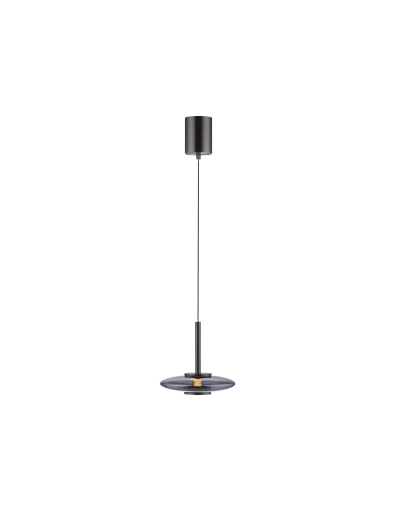 Paul Neuhaus Pure Vitrum Lampa Wisząca Szary 2053-15