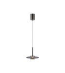 Paul Neuhaus Pure Vitrum Lampa Wisząca Szary 2053-15