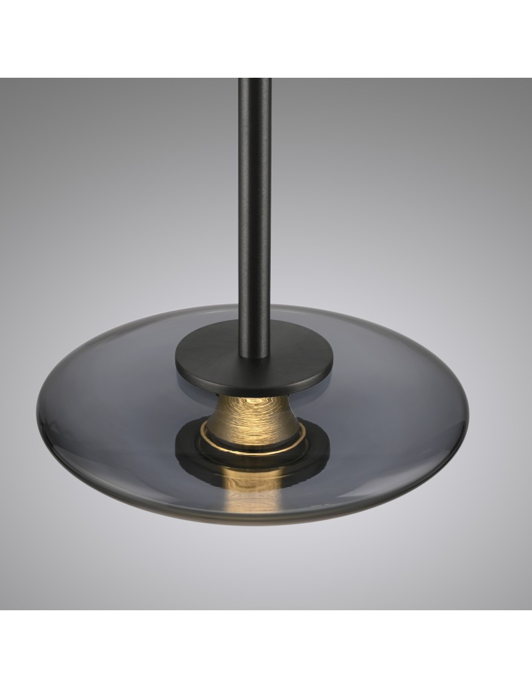 Paul Neuhaus Pure Vitrum Lampa Wisząca Szary 2053-15