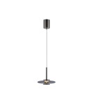 Paul Neuhaus Pure Vitrum Lampa Wisząca Szary 2053-15