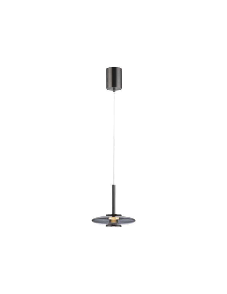 Paul Neuhaus Pure Vitrum Lampa Wisząca Szary 2053-15