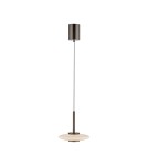 Paul Neuhaus Pure Vitrum Lampa Wisząca Ciemnometalowo-Brązowy 2053-34