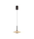 Paul Neuhaus Pure Vitrum Lampa Wisząca Ciemnometalowo-Brązowy 2053-34