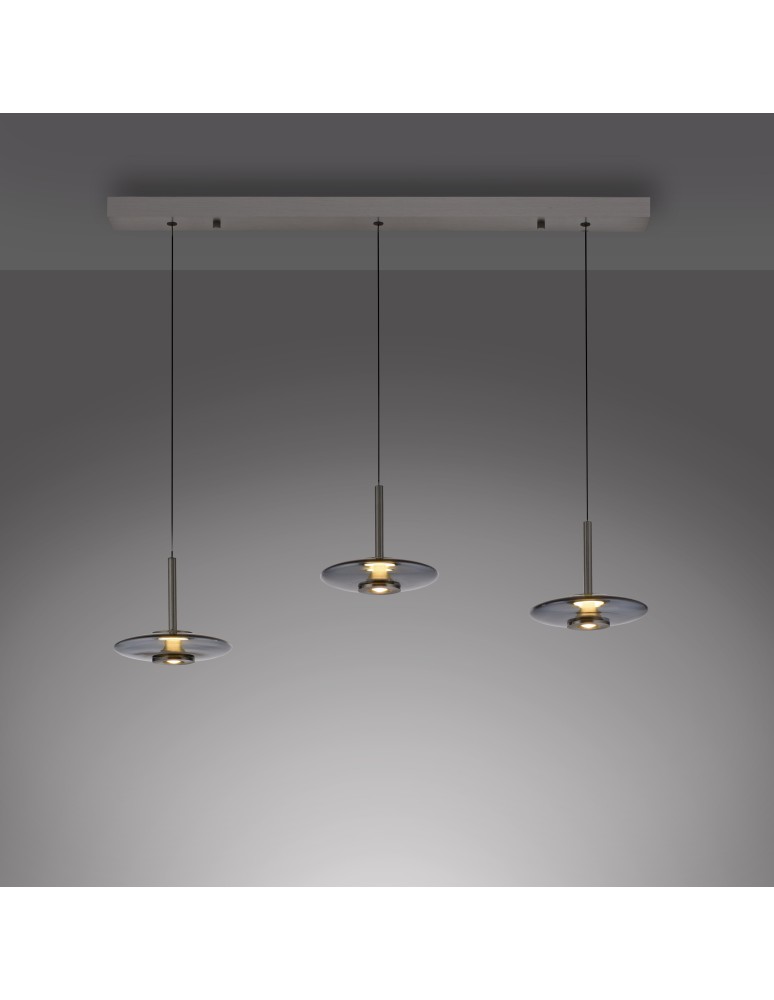 Paul Neuhaus Pure Vitrum Lampa Wisząca Szary 2083-15