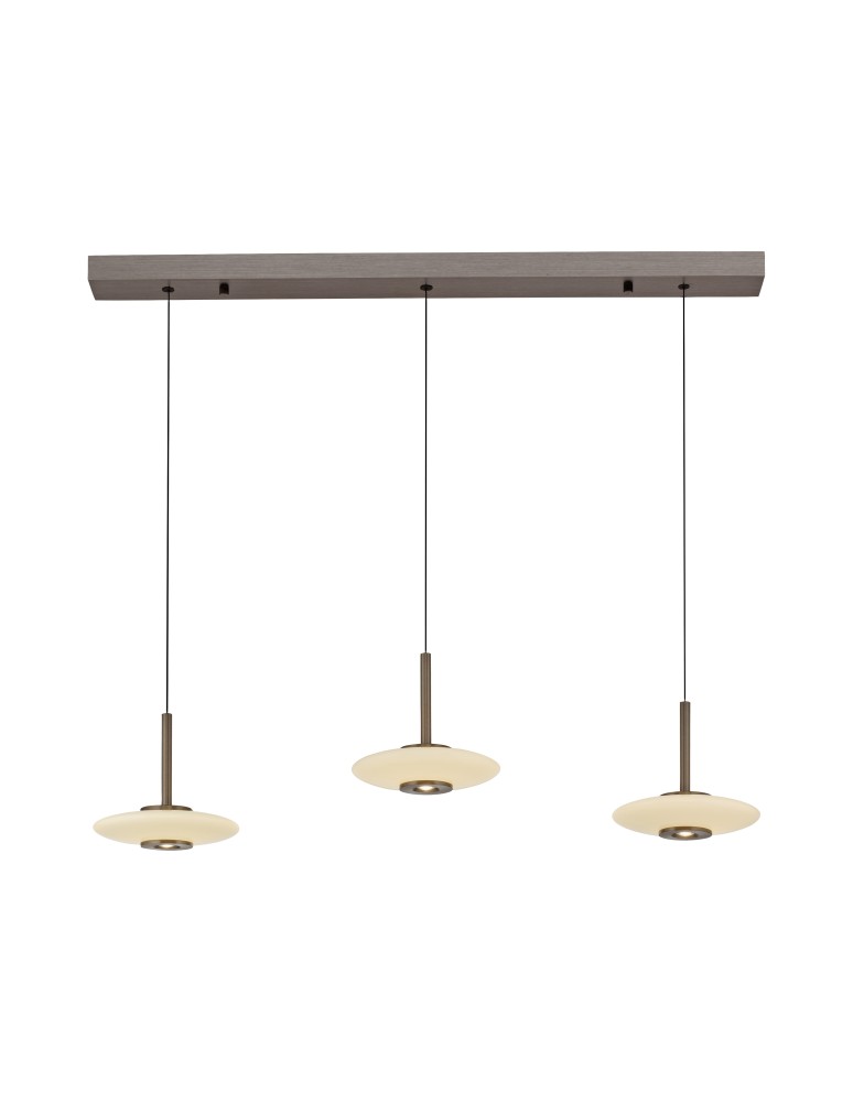 Paul Neuhaus Pure Vitrum Lampa Wisząca Ciemnometalowo-Brązowy 2083-34