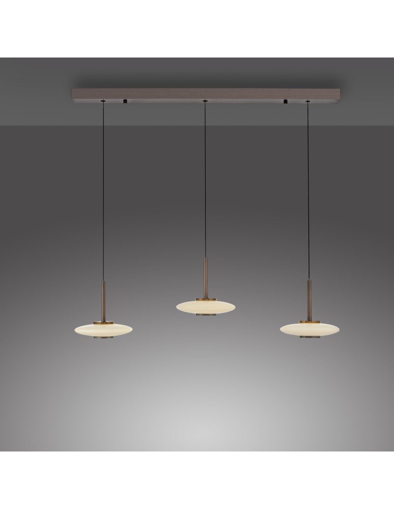 Paul Neuhaus Pure Vitrum Lampa Wisząca Ciemnometalowo-Brązowy 2083-34