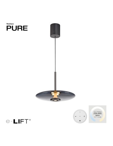 Paul Neuhaus Pure E-Vit Lampa Wisząca Szary 2084-15