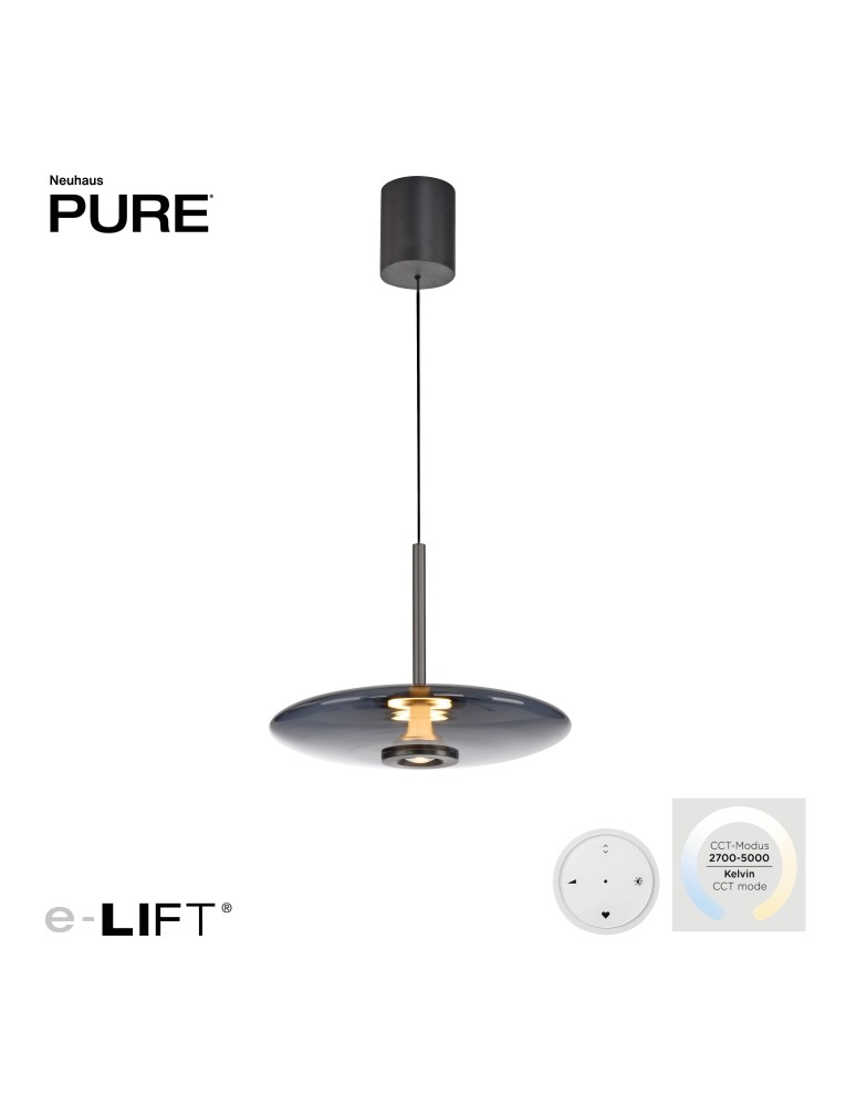 Paul Neuhaus Pure E-Vit Lampa Wisząca Szary 2084-15