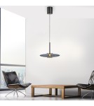 Paul Neuhaus Pure E-Vit Lampa Wisząca Szary 2084-15