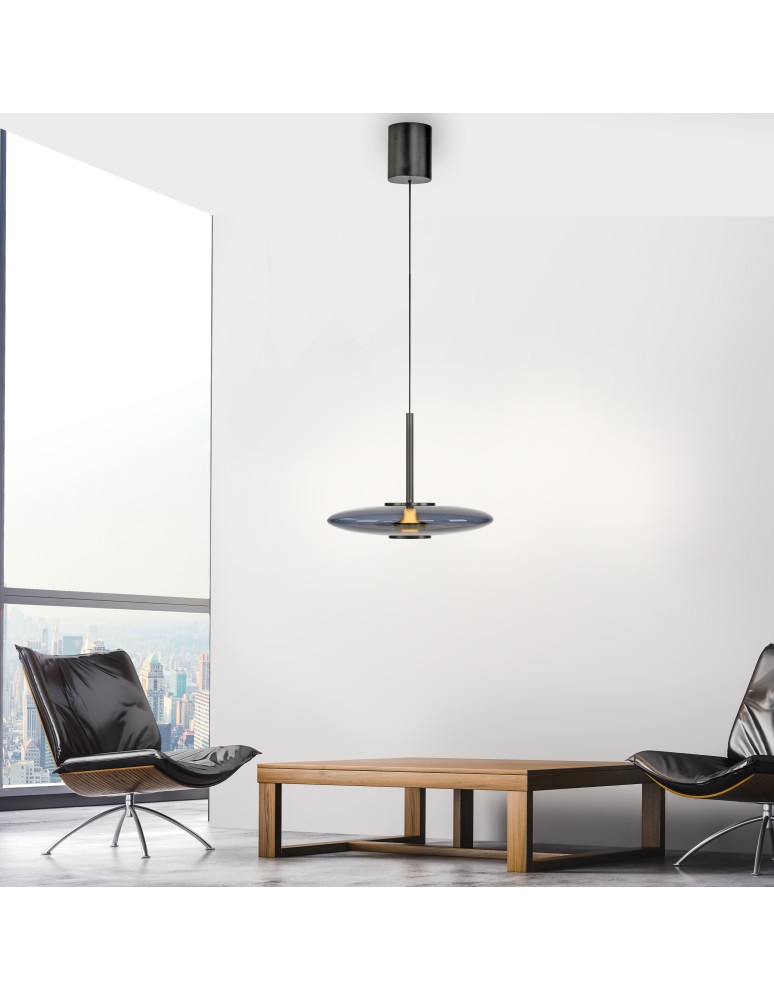 Paul Neuhaus Pure E-Vit Lampa Wisząca Szary 2084-15