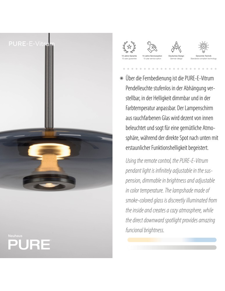 Paul Neuhaus Pure E-Vit Lampa Wisząca Szary 2084-15