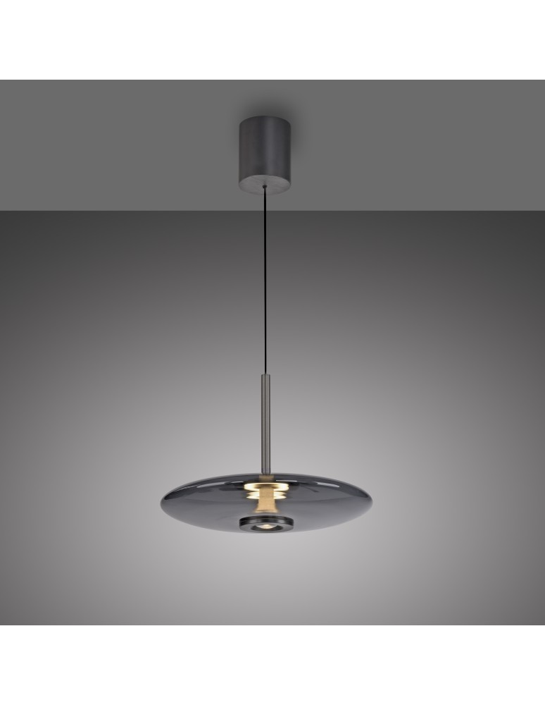 Paul Neuhaus Pure E-Vit Lampa Wisząca Szary 2084-15