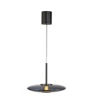 Paul Neuhaus Pure E-Vit Lampa Wisząca Szary 2084-15