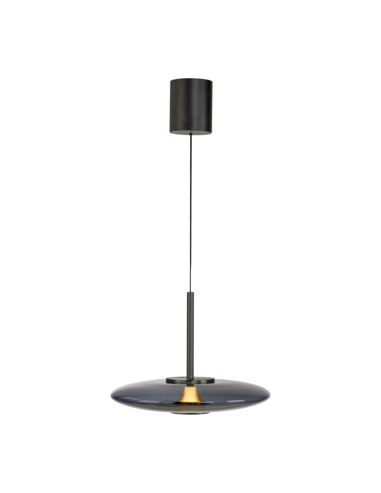 Paul Neuhaus Pure E-Vit Lampa Wisząca Szary 2084-15