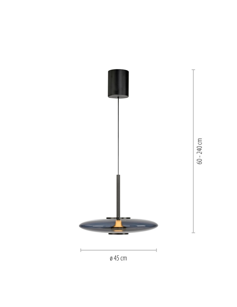 Paul Neuhaus Pure E-Vit Lampa Wisząca Szary 2084-15