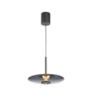 Paul Neuhaus Pure E-Vit Lampa Wisząca Szary 2084-15