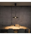Paul Neuhaus Pure E-Vit Lampa Wisząca Szary 2084-15