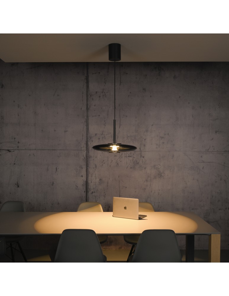 Paul Neuhaus Pure E-Vit Lampa Wisząca Szary 2084-15