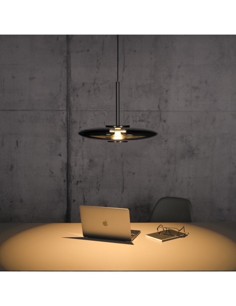 Paul Neuhaus Pure E-Vit Lampa Wisząca Szary 2084-15