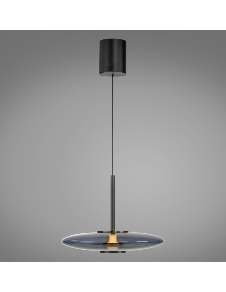 Paul Neuhaus Pure E-Vit Lampa Wisząca Szary 2084-15
