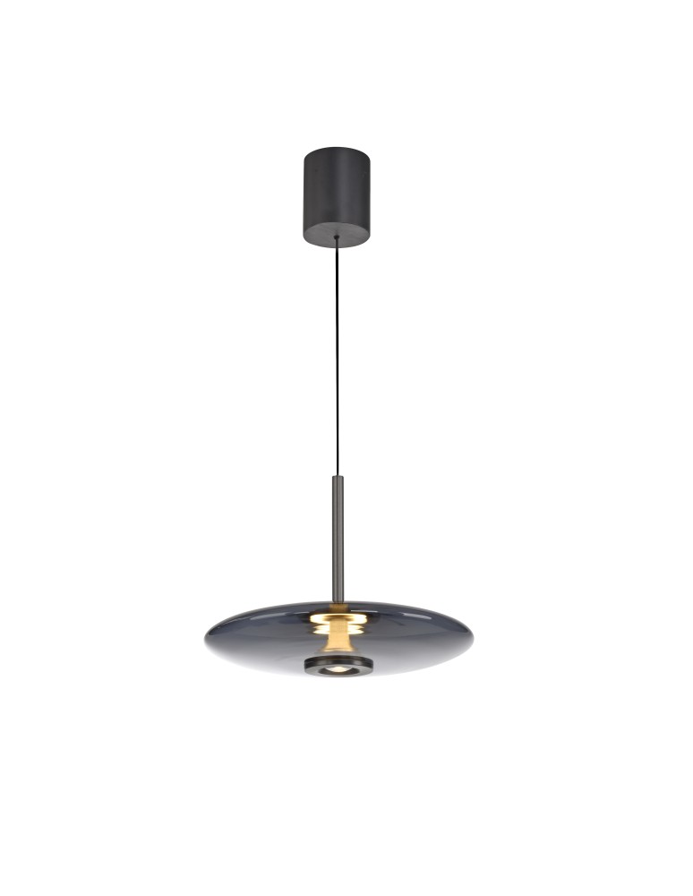 Paul Neuhaus Pure E-Vit Lampa Wisząca Szary 2084-15