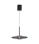 Paul Neuhaus Pure E-Vit Lampa Wisząca Szary 2084-15