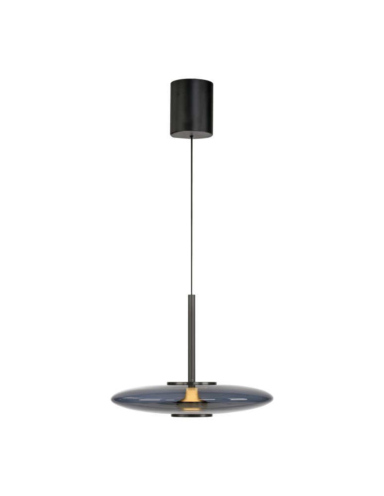 Paul Neuhaus Pure E-Vit Lampa Wisząca Szary 2084-15