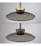 Paul Neuhaus Pure Moon Lampa Wisząca Brązowy 2193-97