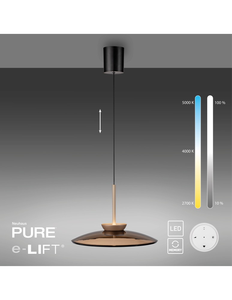 Paul Neuhaus Pure E-Moon Lampa Wisząca Brązowy 2195-97