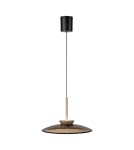 Paul Neuhaus Pure E-Moon Lampa Wisząca Brązowy 2195-97