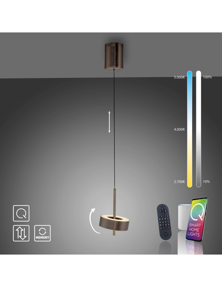 Paul Neuhaus Q-Rotate Lampa Wisząca Ciemnometalowo-Brązowy 2247-34