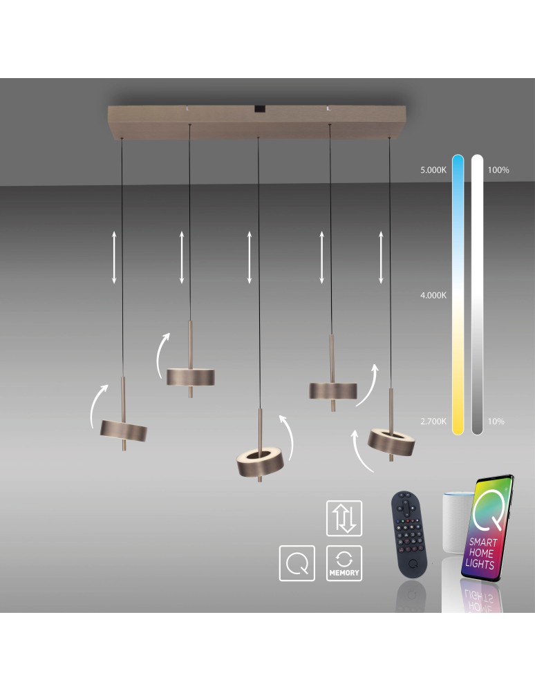 Paul Neuhaus Q-Rotate Lampa Wisząca Ciemnometalowo-Brązowy 2249-34
