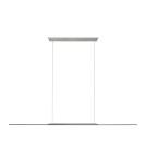 Paul Neuhaus Pure Surfa Lampa Wisząca Szary 2302-15